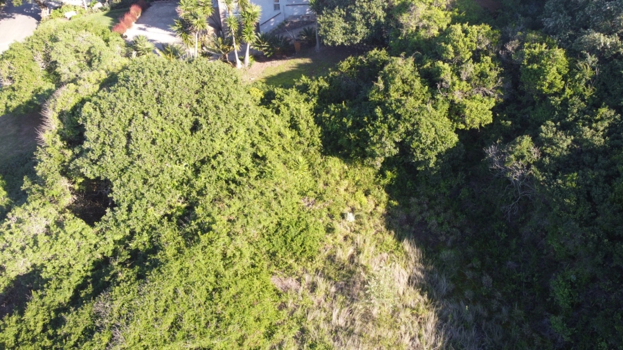 Commercial Property for Sale in Bothastrand Western Cape